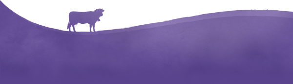 Milka