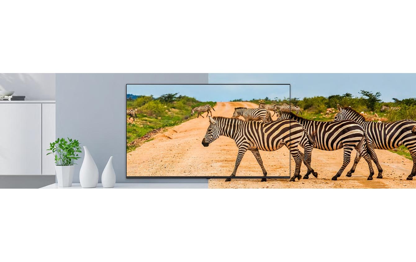 LG UR762H Series 43UR762H 43" 4K UHD LCD-TV Schwarz