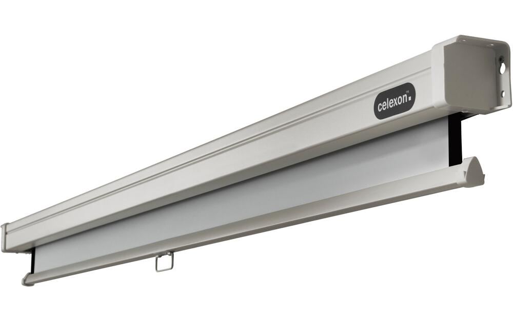 Celexon Professional Rollo-Leinwand manuell 220 x 220 cm (120") 1:1 Schwarz, Weiß