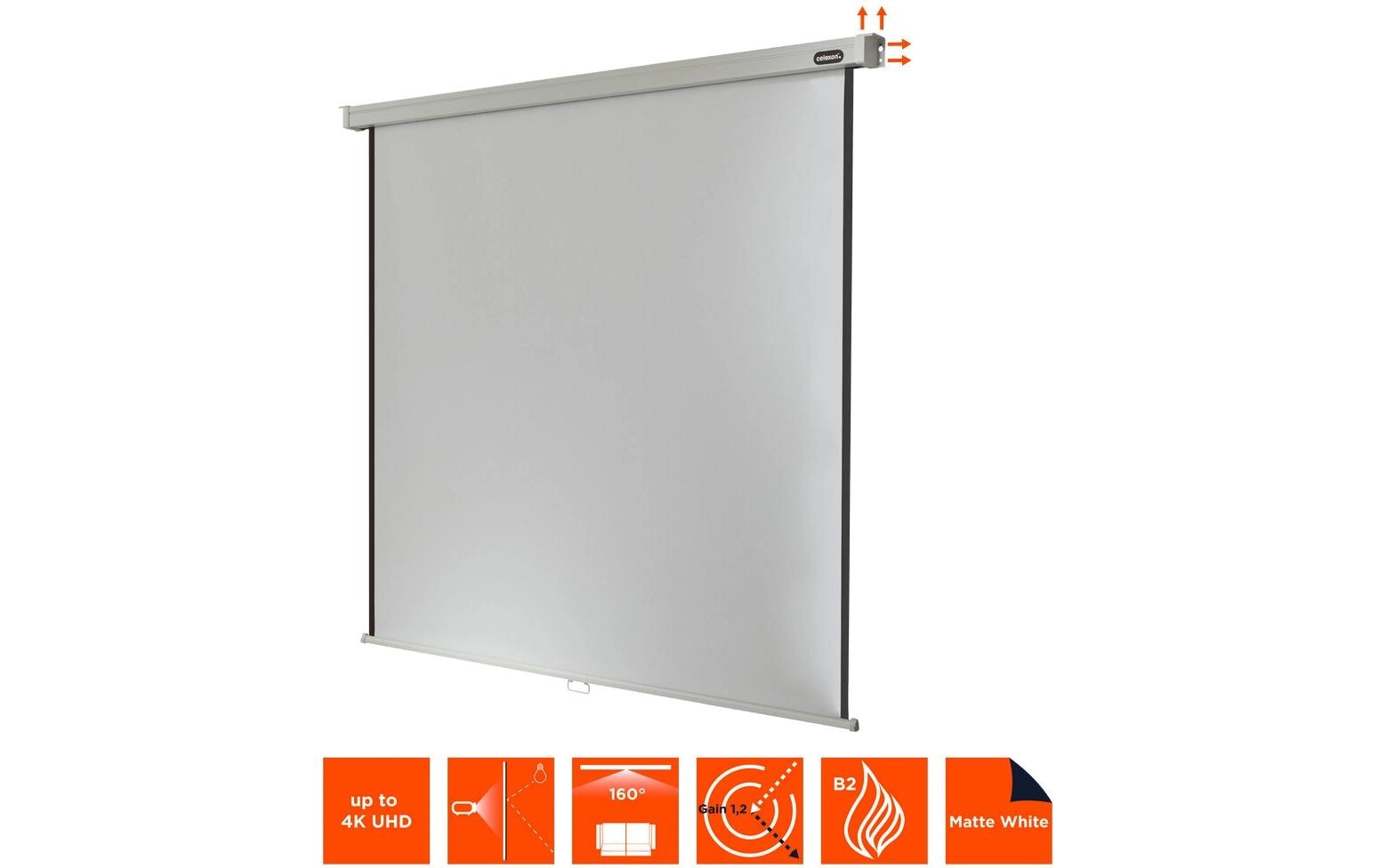 Celexon Professional Rollo-Leinwand manuell 220 x 220 cm (120") 1:1 Schwarz, Weiß
