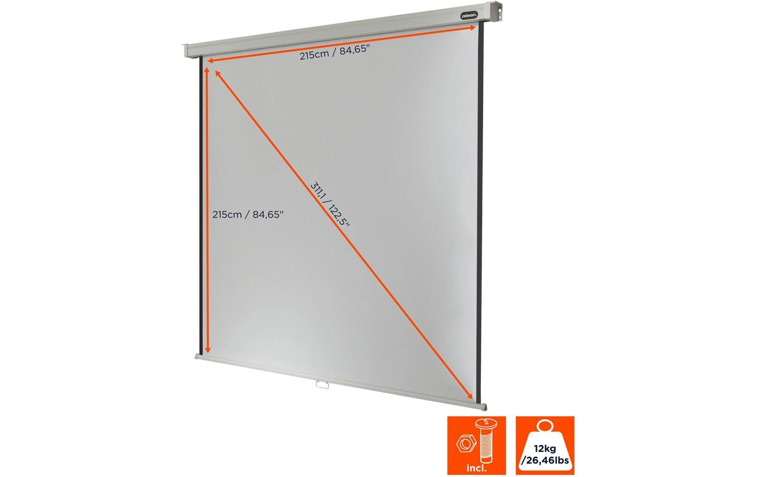 Celexon Professional Rollo-Leinwand manuell 220 x 220 cm (120") 1:1 Schwarz, Weiß
