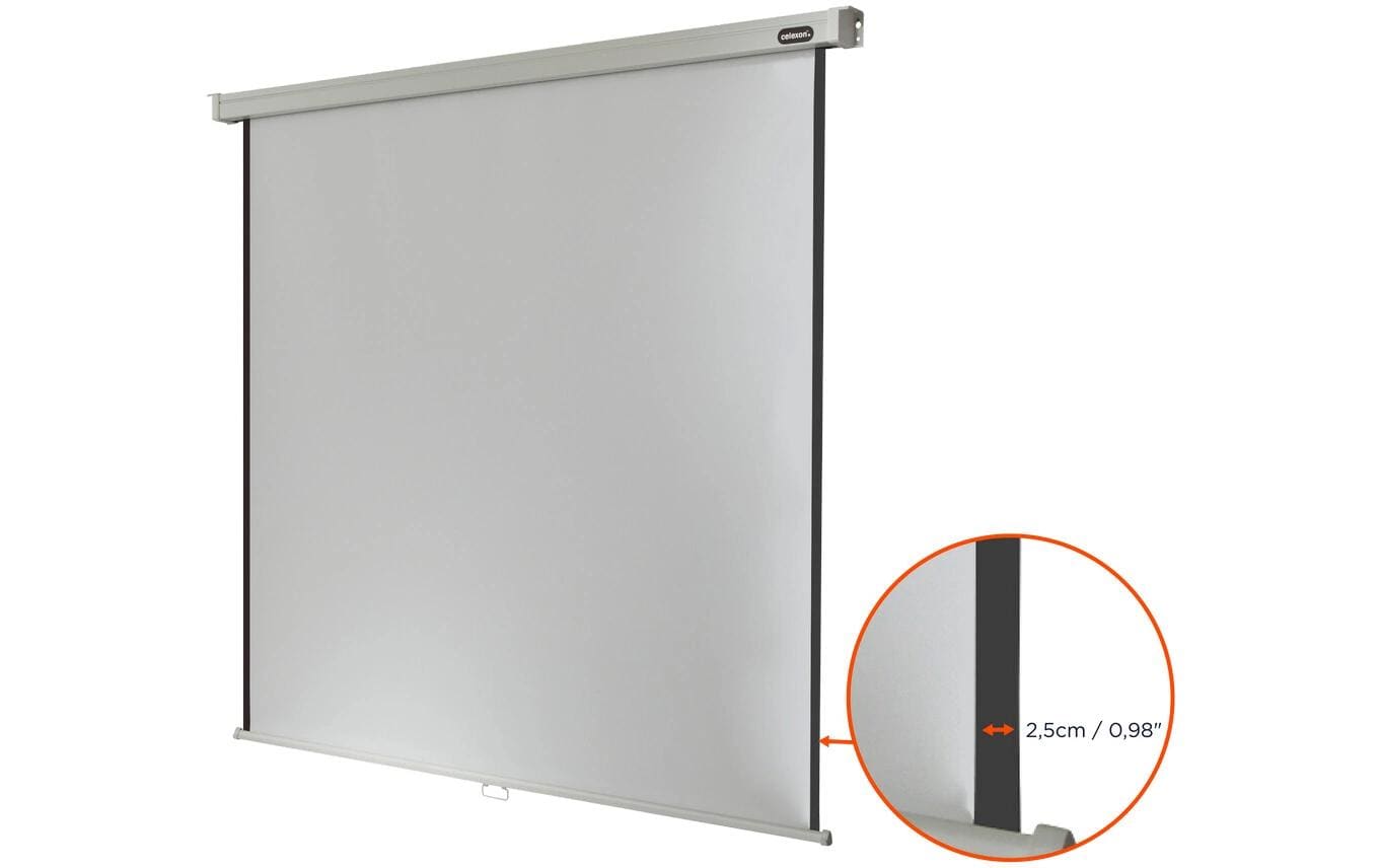 Celexon Professional Rollo-Leinwand manuell 220 x 220 cm (120") 1:1 Schwarz, Weiß