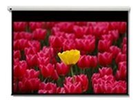 Optoma Panoview DE-9120EGA Motorleinwand 120" 16:9 Mattweiß