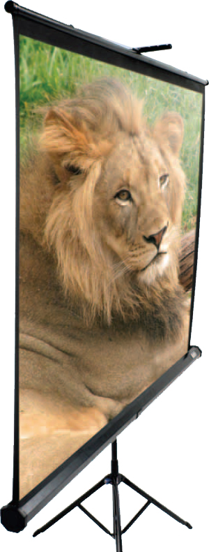 Elite Screens Tripod Stativ-Beamerleinwand 119" 1:1 213 x 213 cm MaxWhite